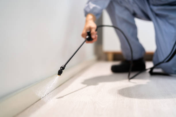 Professional exterminator conducting IPM assessment in La Grange